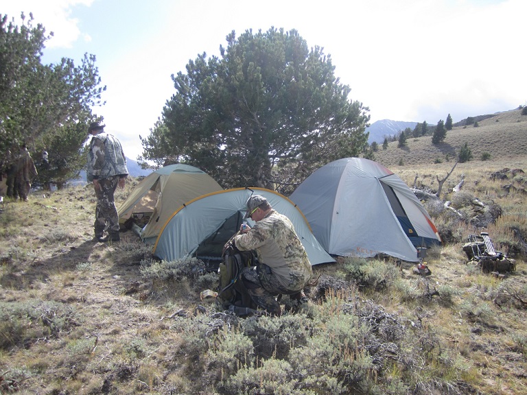 Spike Camp Elk 2013.jpg