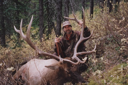 Marcelles Bull.jpg