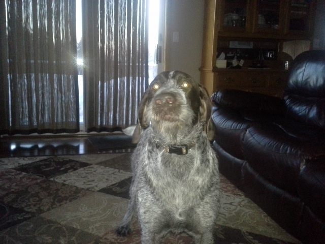 20140214_173156.jpg