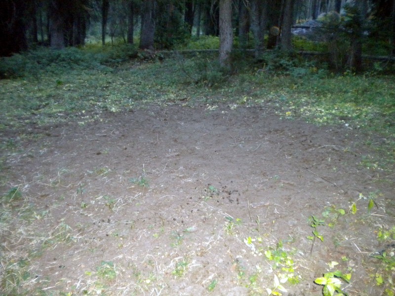 DSCN1945.JPG