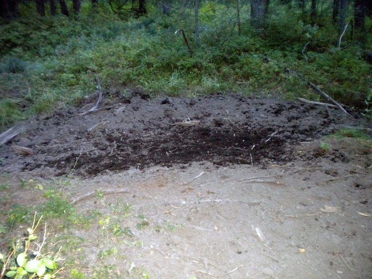 DSCN1946.JPG