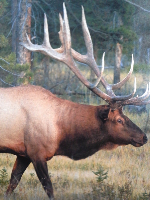 20140203_095210.jpg