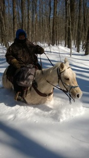 Stone Creek Horse Ride.jpeg
