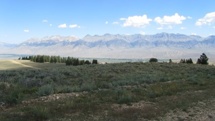 IMG_2977 (Small) (Custom).JPG