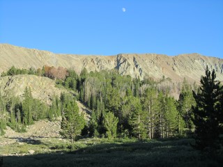 IMG_2960 (Custom).JPG