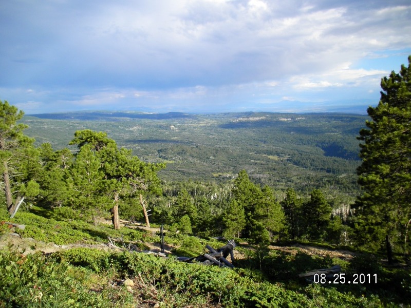 SANY0045-1.jpg