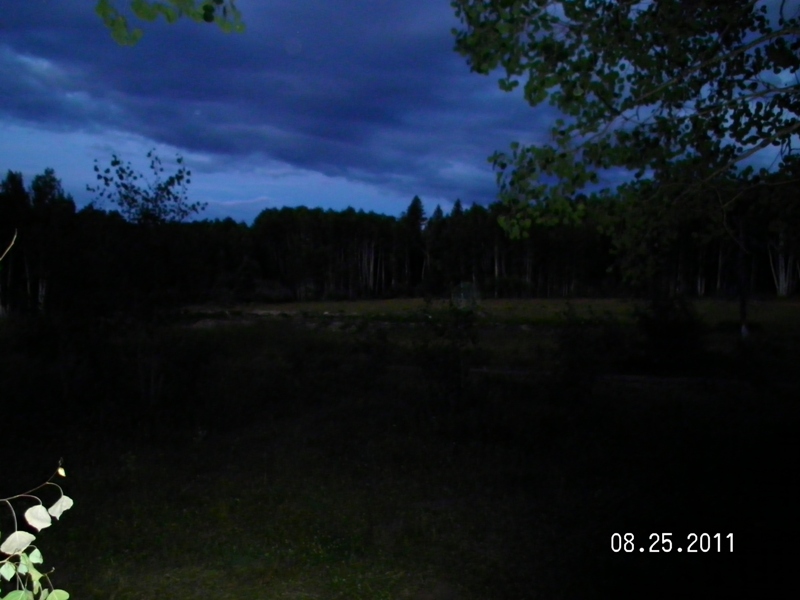 SANY0050.JPG