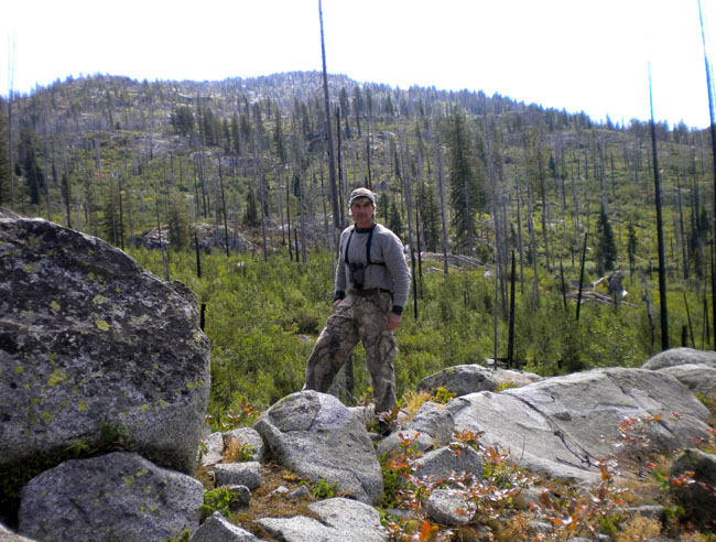Elk Country 3.jpg