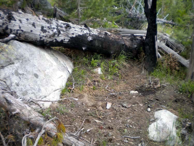 DSCN1800.jpg
