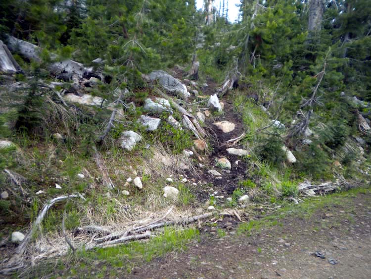 DSCN1805.jpg
