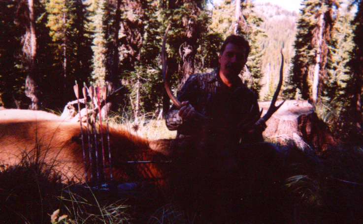 Harlod & bull.jpg