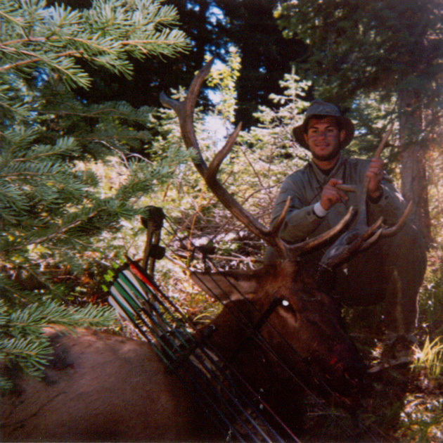Paull II bull.jpg