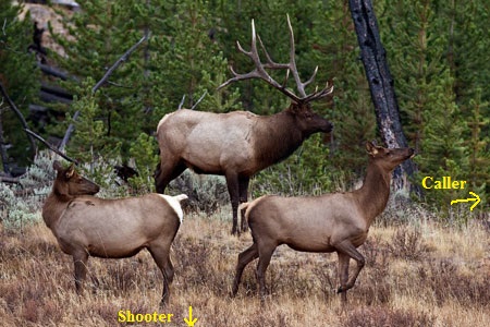 elk_3313np - Copy.jpg