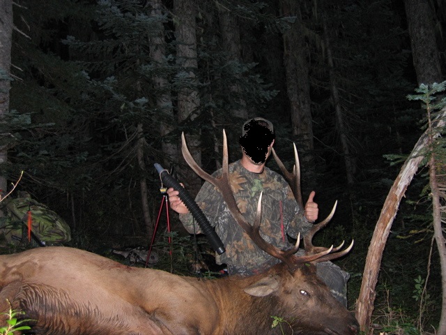 5X6Bull.jpg