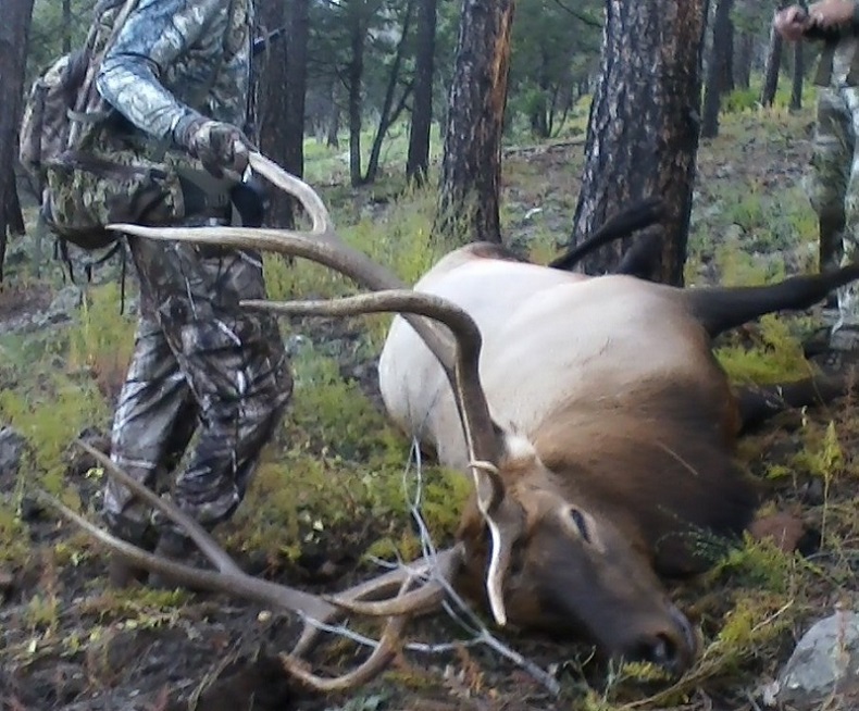 Jeff 2013 16A 3rd Hunt-Part 2.jpg