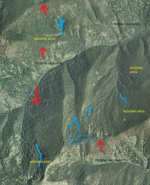 Elkmap2.png