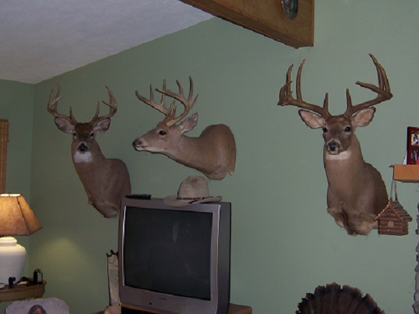 LivingRoomBucks.jpg