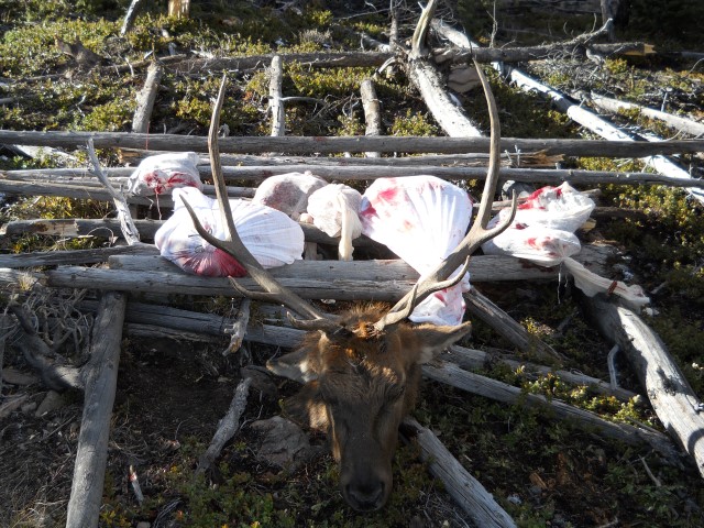DSCN0453.JPG