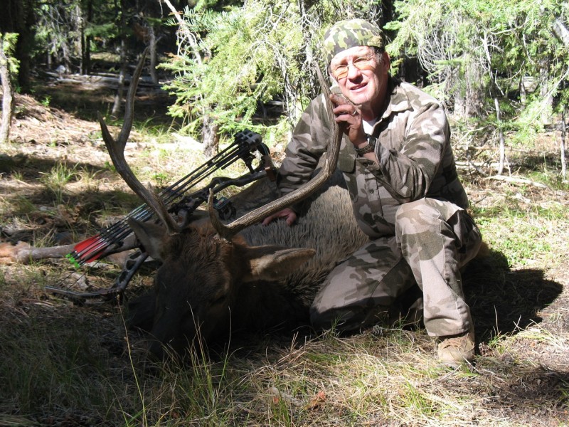 2009 Bull.JPG