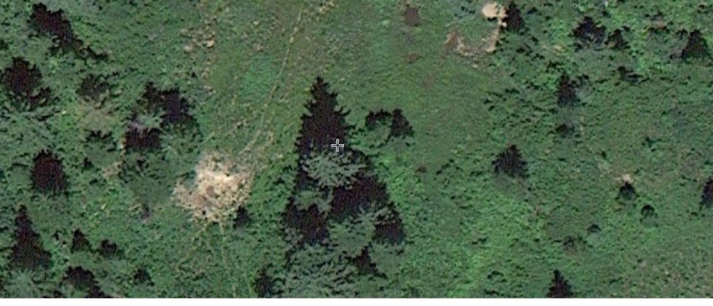 Myster Spot 2.jpg