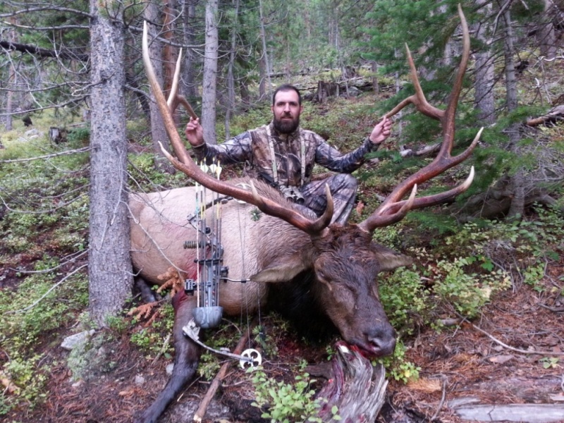 Elk 1.jpg