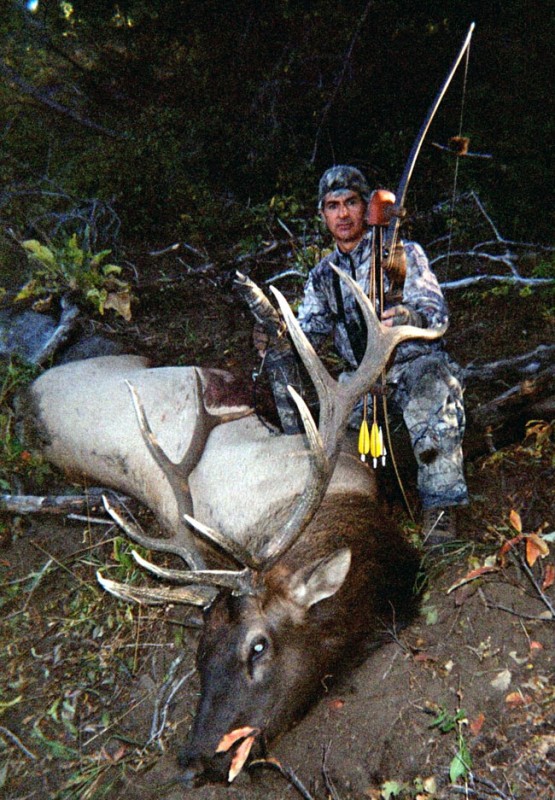 9 2008 6x6 Bull.jpg