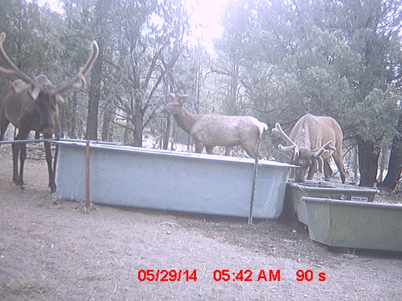 june 10 069.jpg