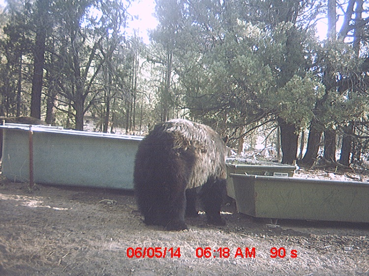 june 10 225.jpg