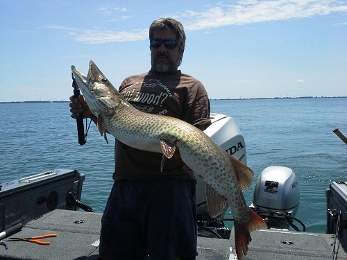 E20140622_141644_2.jpg