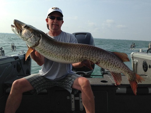 BigFishEd2.jpg