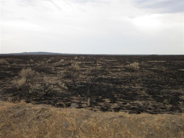 IMG_0620 (Small).JPG