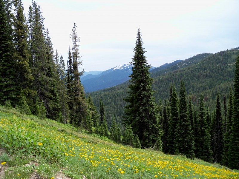 100_0706.JPG