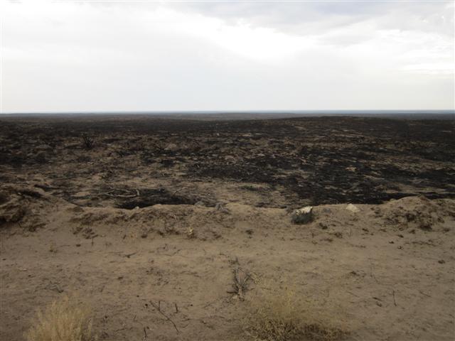 IMG_0622 (Small).JPG