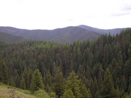 idaho.jpg