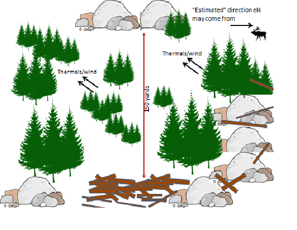 Cold Call Setup.png