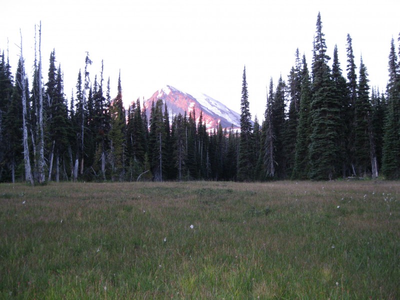 IMG_0001.JPG