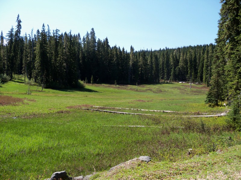 100_0513.JPG