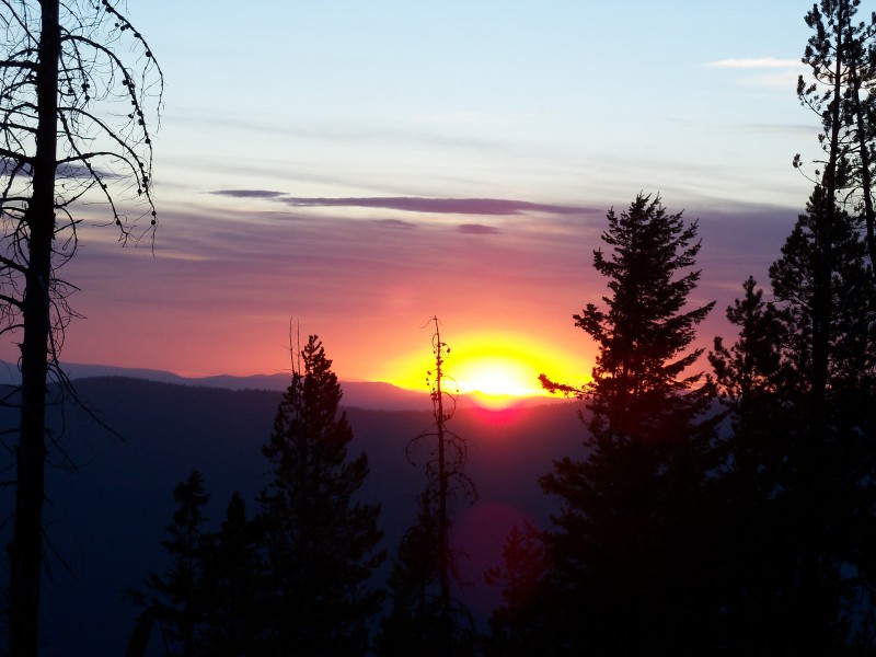 106_0081.JPG