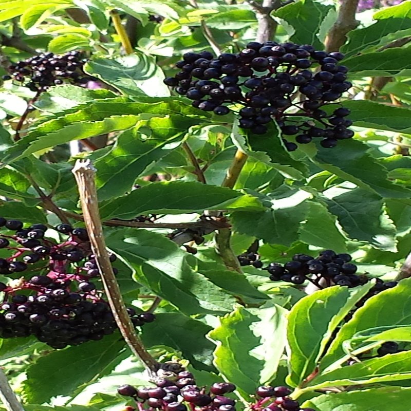 rsz_120140722_172251.jpg