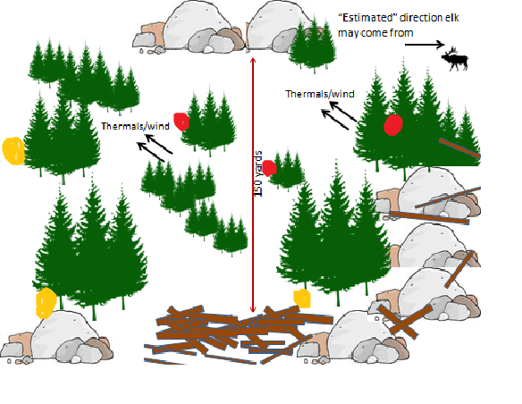Cold Call Setup v1.png