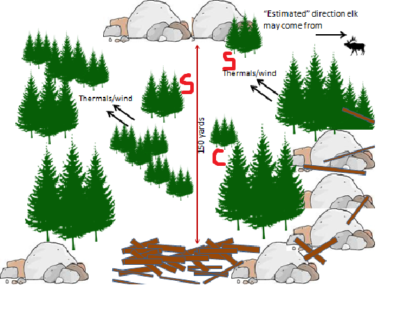 Cold Call Setup.png