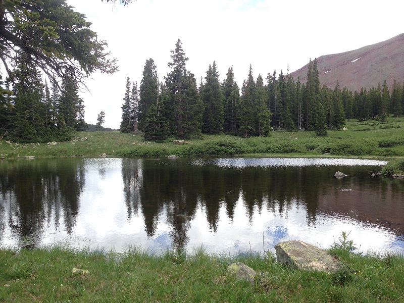 photo.JPG