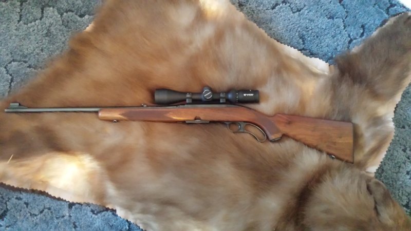 rsz_88a.jpg