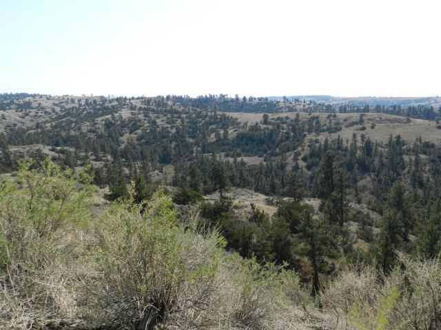 2012 hunting trip 004.JPG
