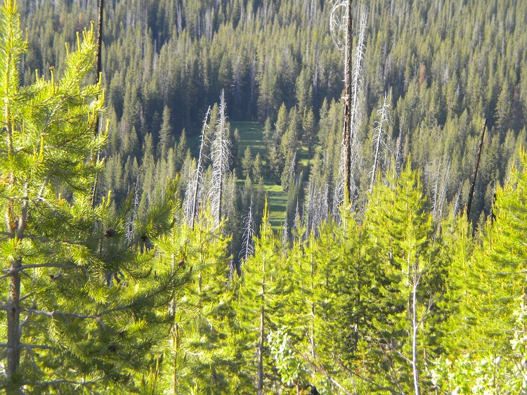 DSCN1835.JPG