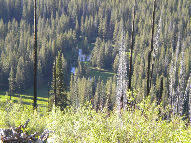 DSCN1839.JPG