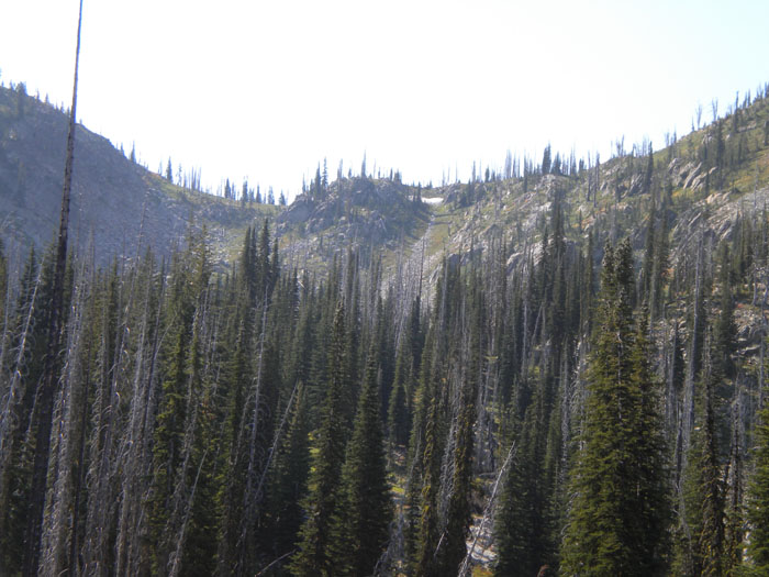 Scouting 08 Aug 2011.jpg