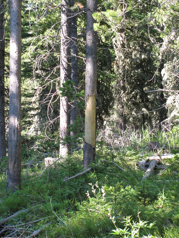 Rub 7100'.JPG