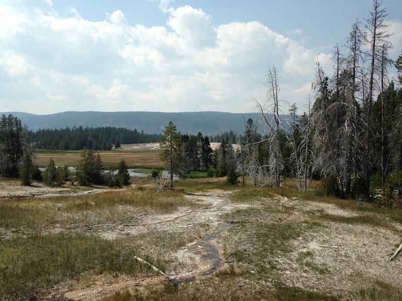 photo.JPG