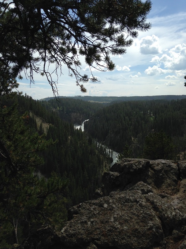 photo.JPG